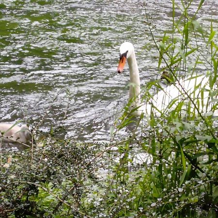 Le Charme Au Fil De L'Eau Panzió Neslette Kültér fotó