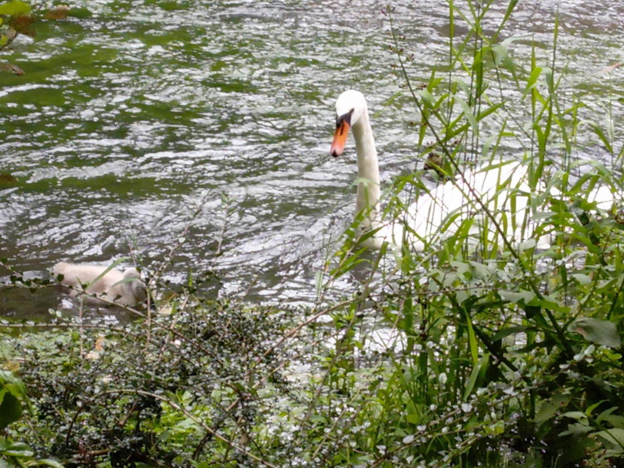 Le Charme Au Fil De L'Eau Panzió Neslette Kültér fotó