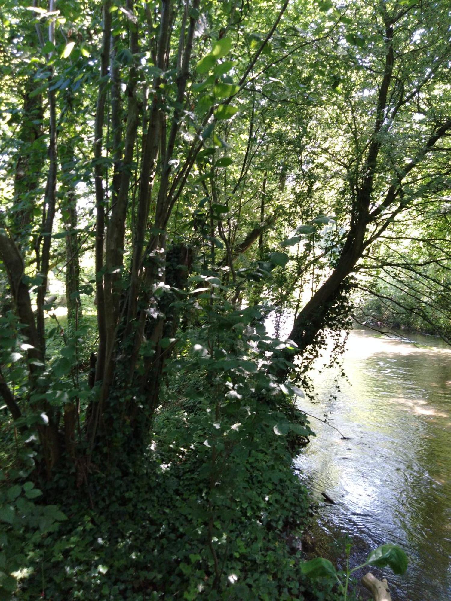 Le Charme Au Fil De L'Eau Panzió Neslette Kültér fotó